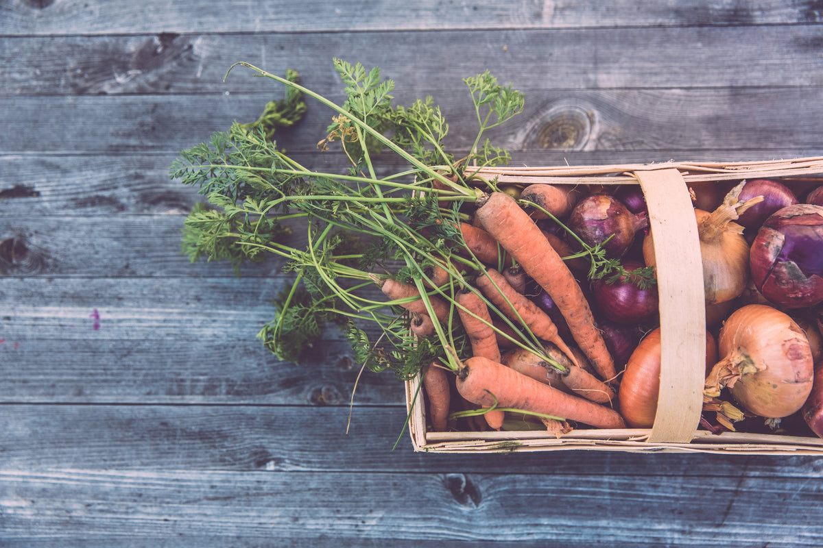 What “Human-Grade” Dog Food Really Means