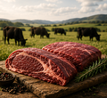 Grass Fed & Finished Beef